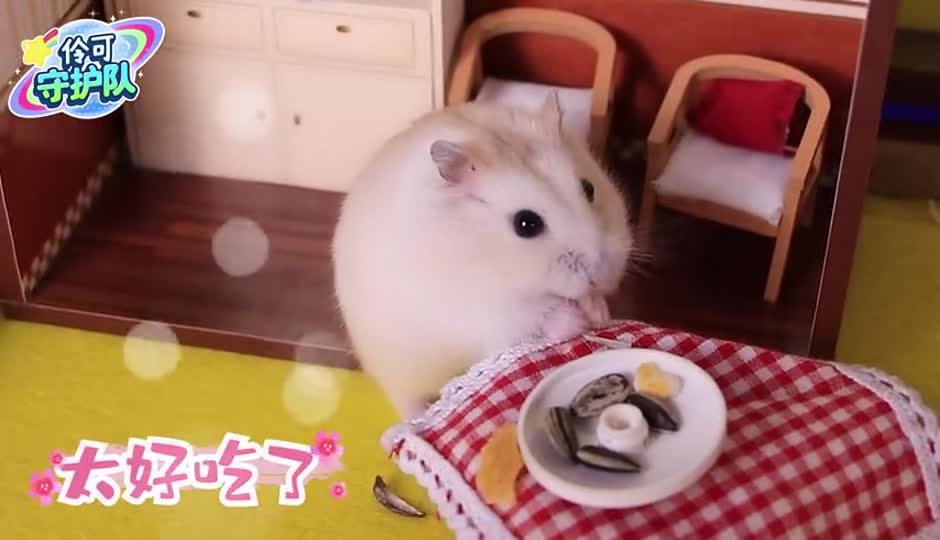 伶伶的美味餐厅！胃口大开？伶伶为仓雪饼定制美食