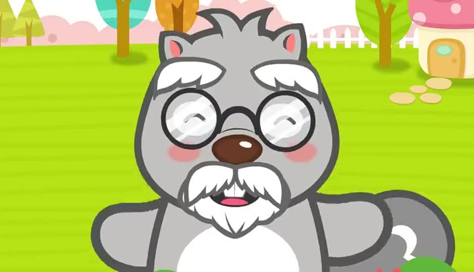 十二个为什么