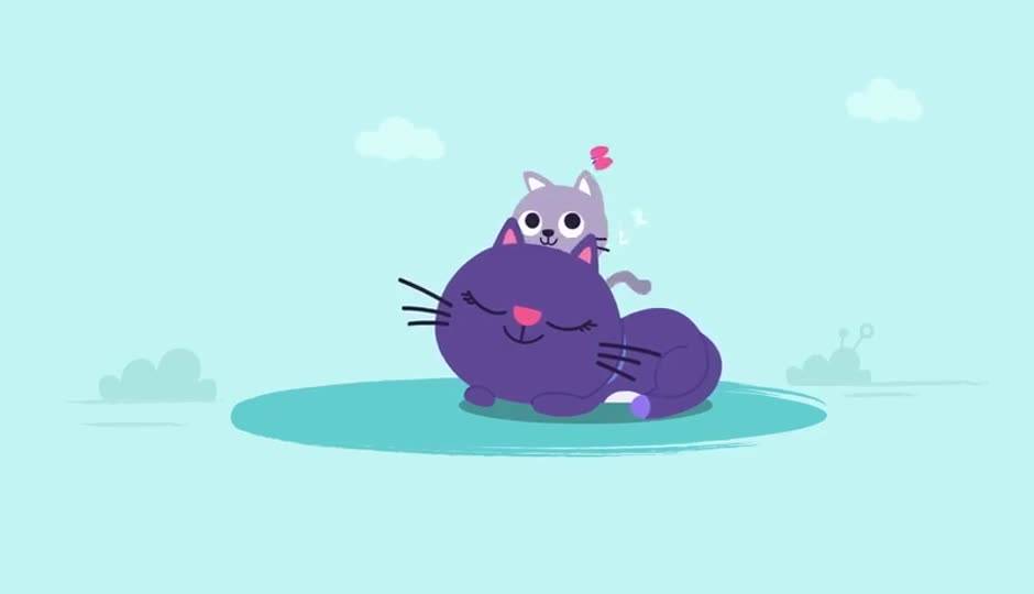 Baby Animal