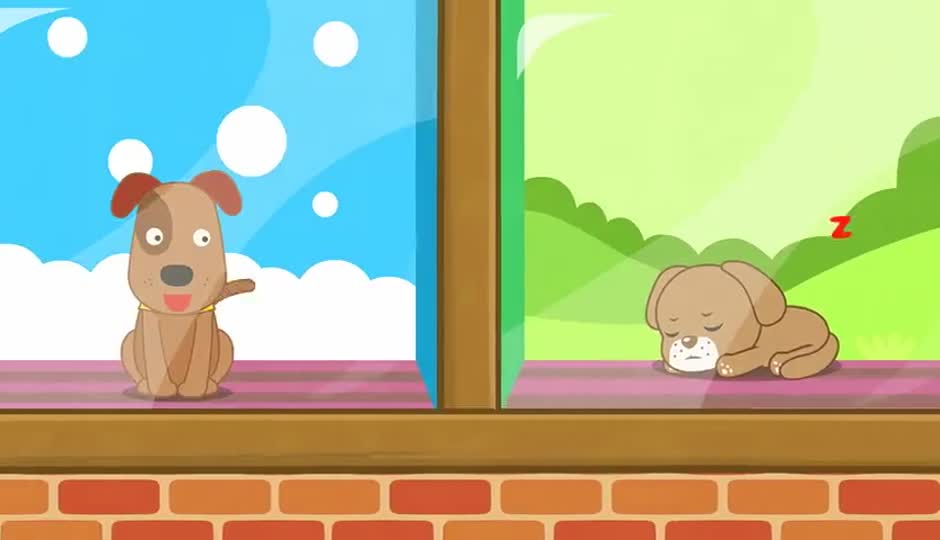 How Much Is That Doggie