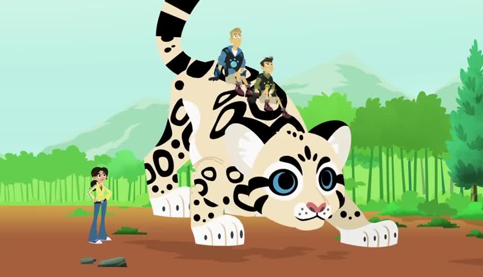 猫与狗（下）