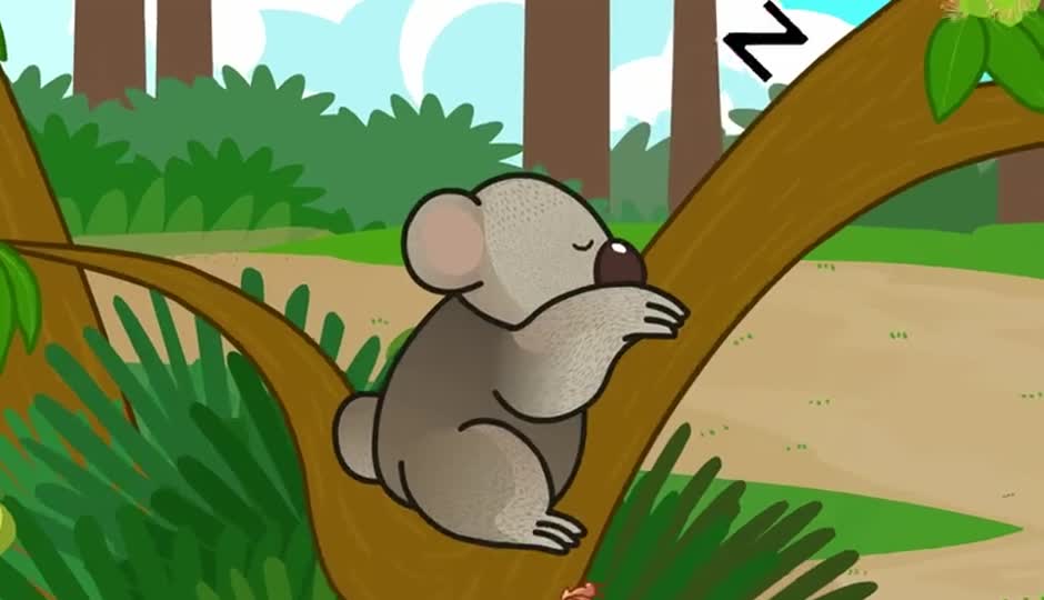 慢吞吞的动物