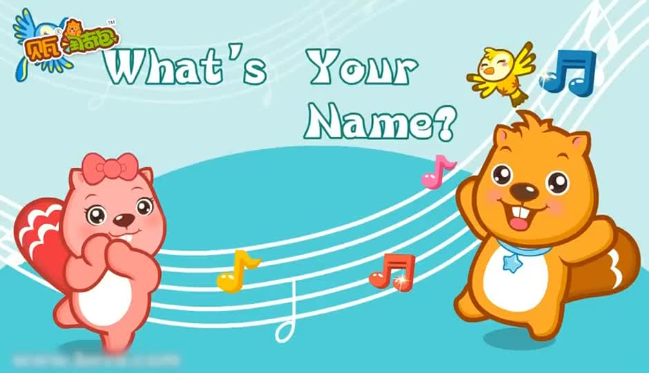 What's Your Name
