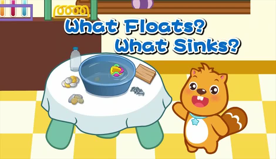 What Floats?What Sinks?