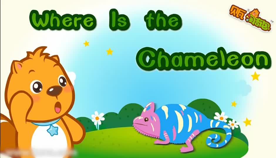 Where Is the Chameleon
