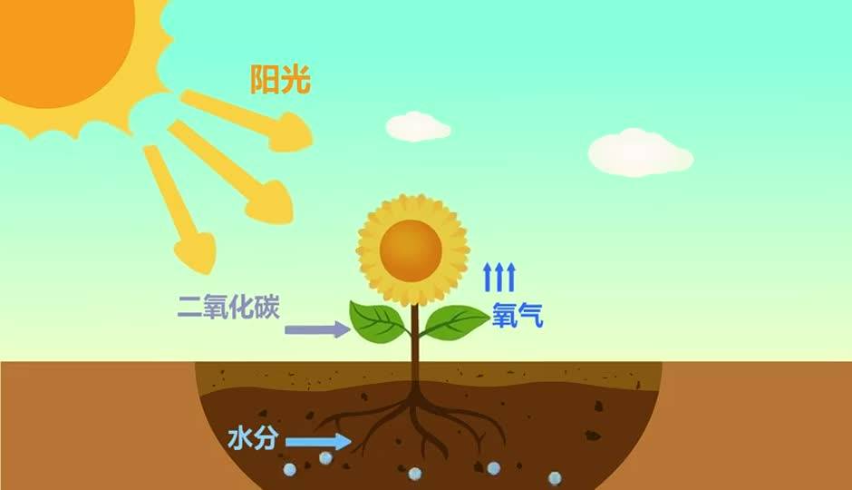 我们出发吧