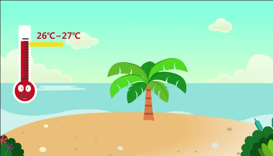 霍比奥海岸（下篇）