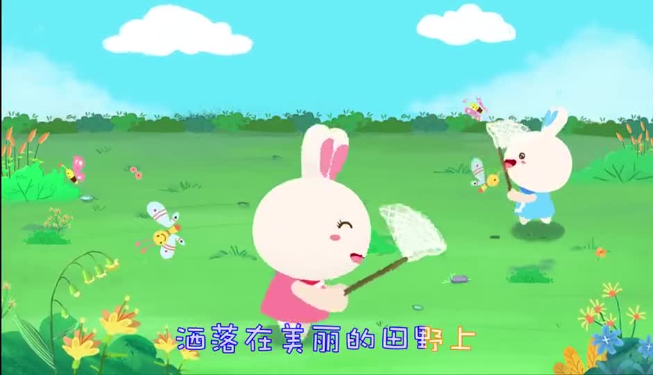 美丽的田野