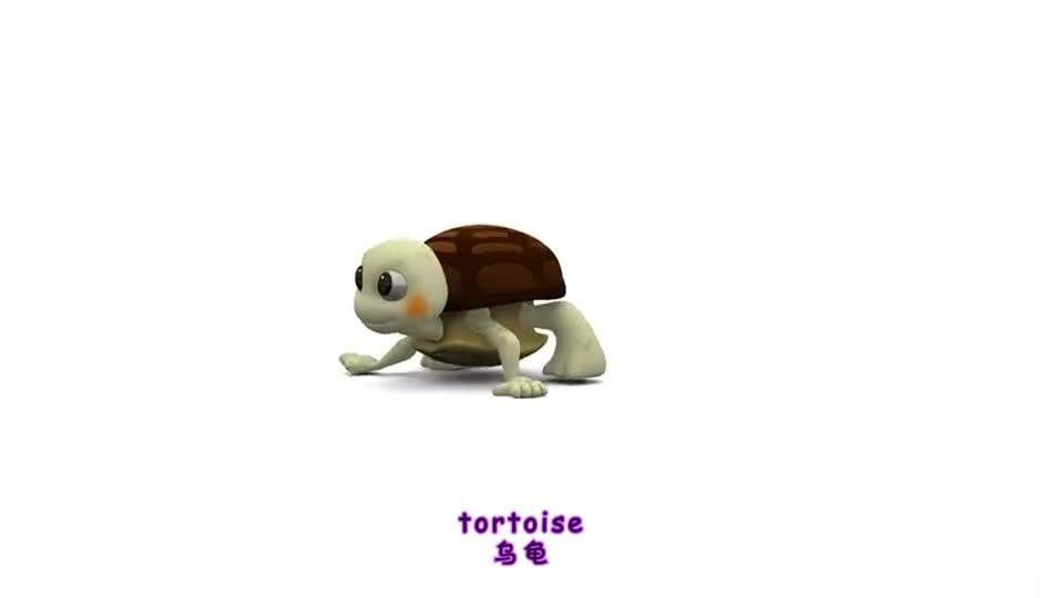 Rabbit and tortoise