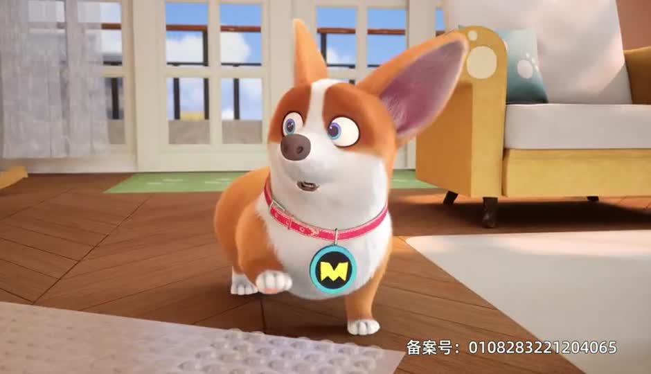 泡泡膜之争