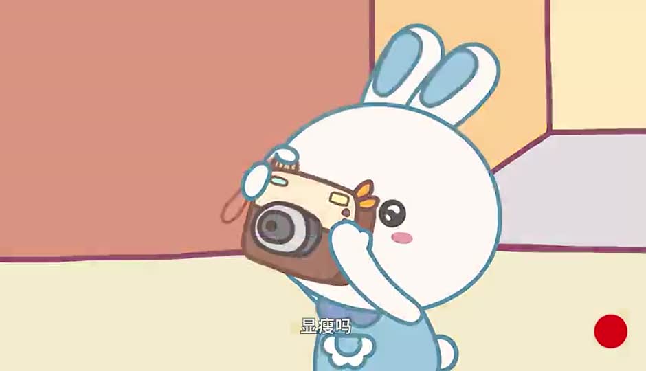 拍照片