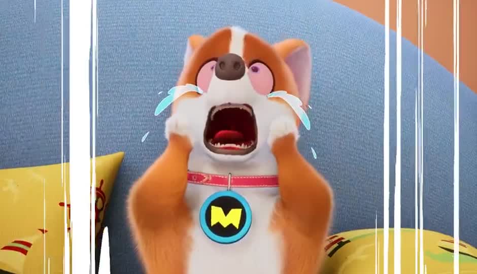 特工乌龙
