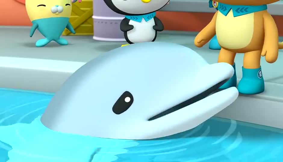 小海豚