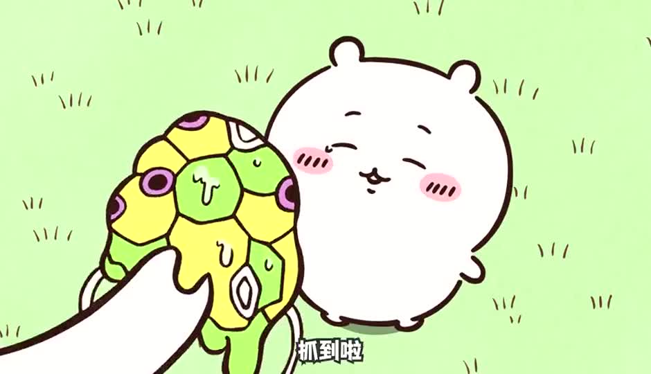 某森林家族3