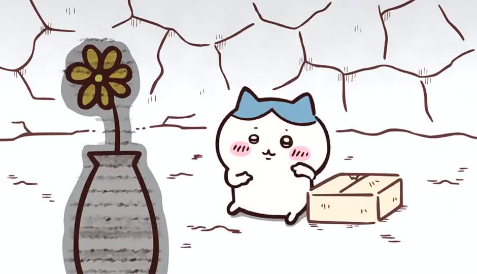 想要台照相机