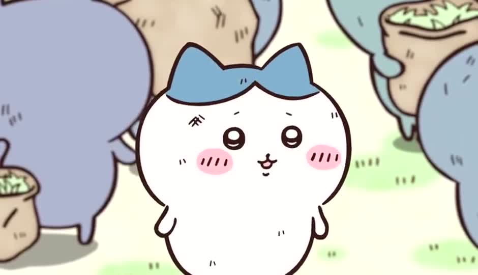 怎么回事