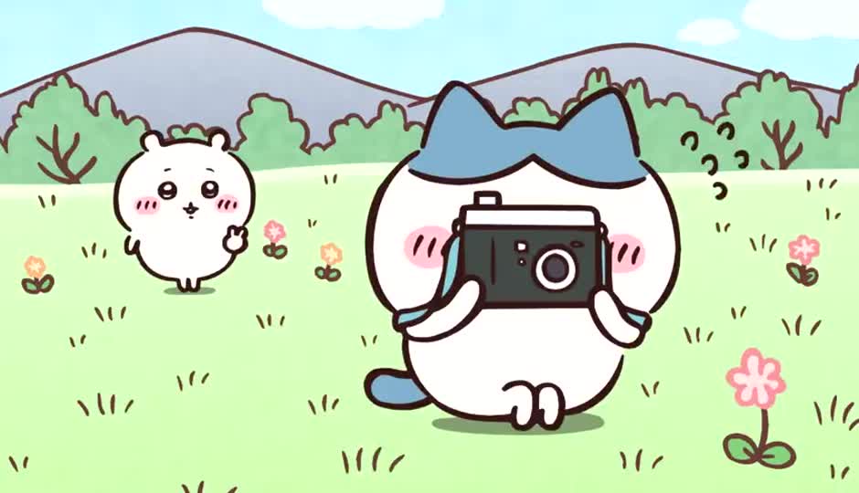 拍不出来