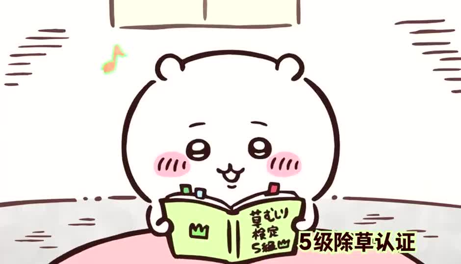 开关3