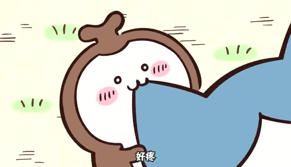 开关6