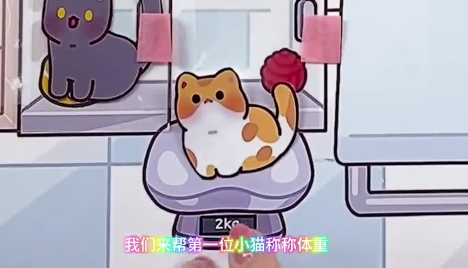 猫咪护理安静书