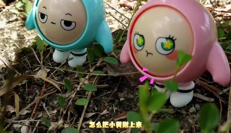 小黄遇到危险了