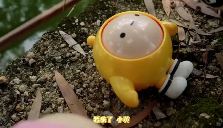 小黄意外发现它的宝石