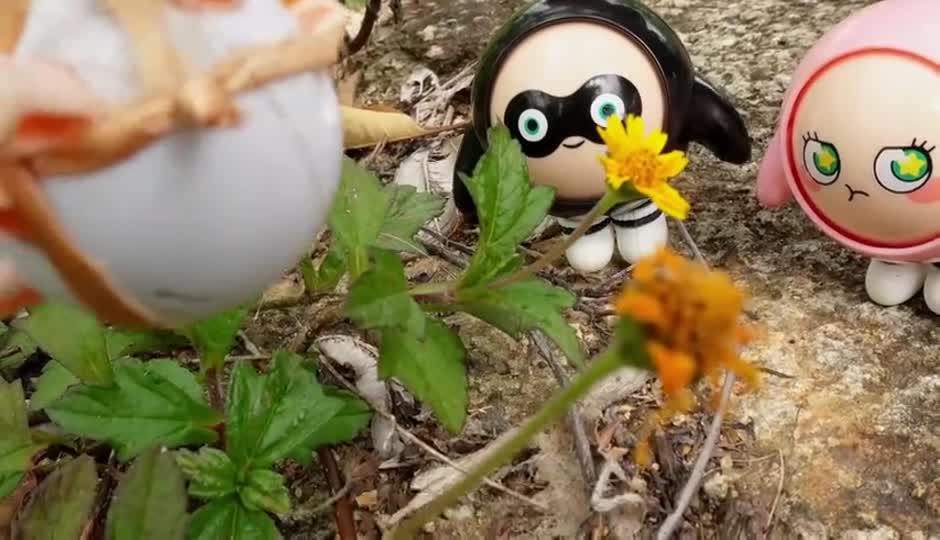 营救东东羊行动