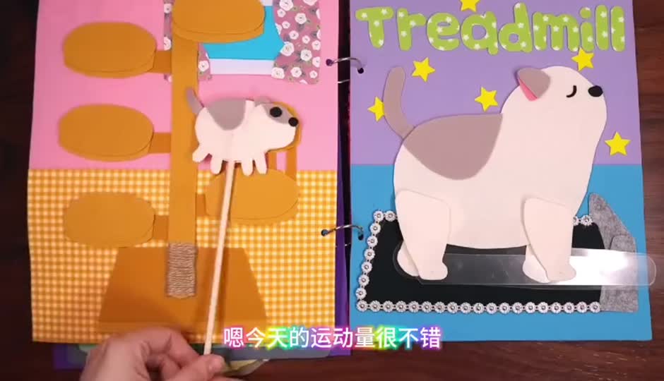 猫猫运动安静书
