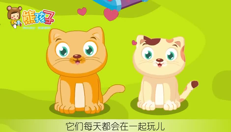 大花猫和大脸猫