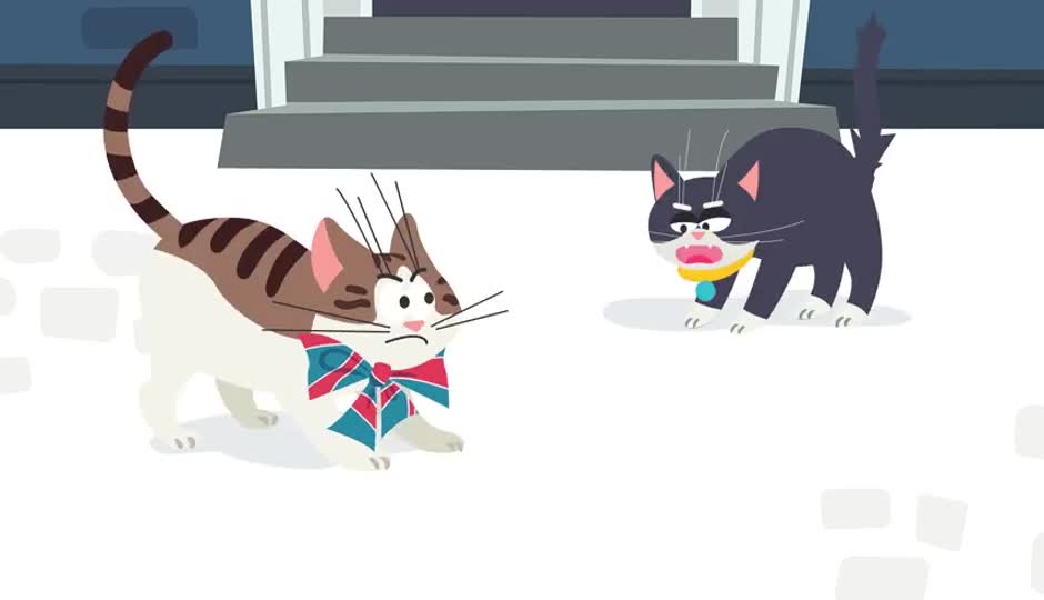猫语