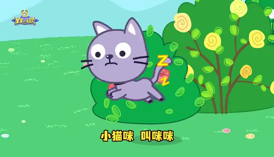 小猫咪