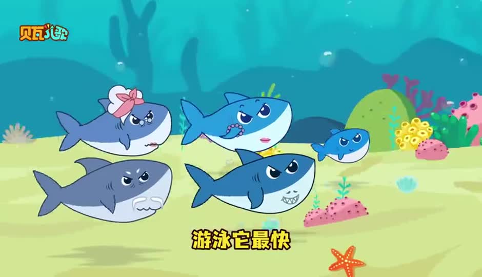 好胜的海豚