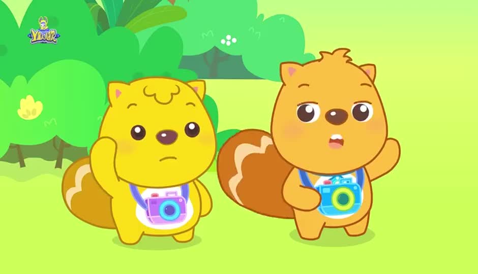枫叶的舞蹈