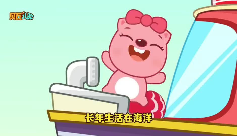 胆小鬼小海龟