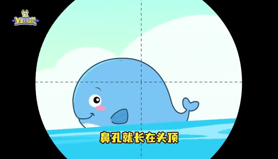 鲸鱼爱旅行