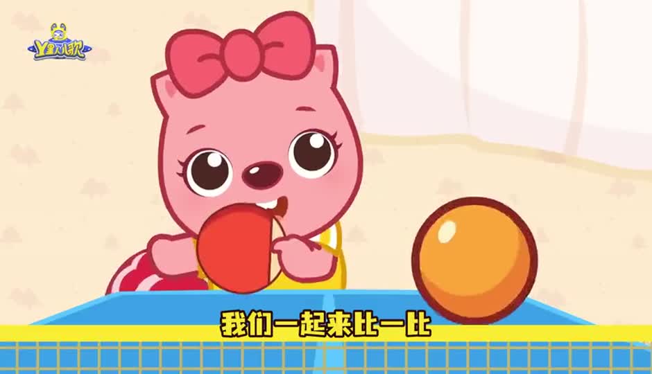生活处处有规则