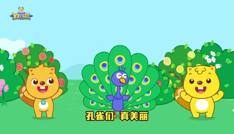 孔雀开屏真美丽