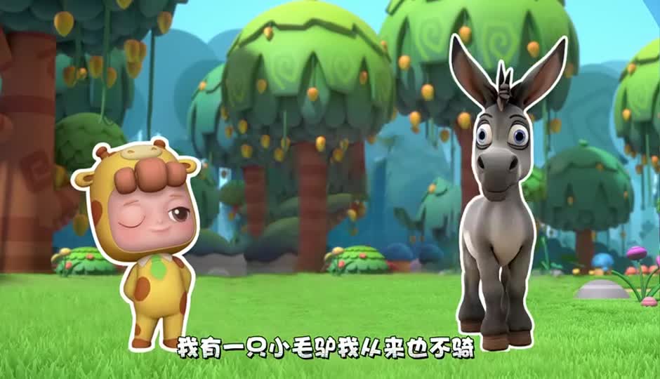 小毛驴