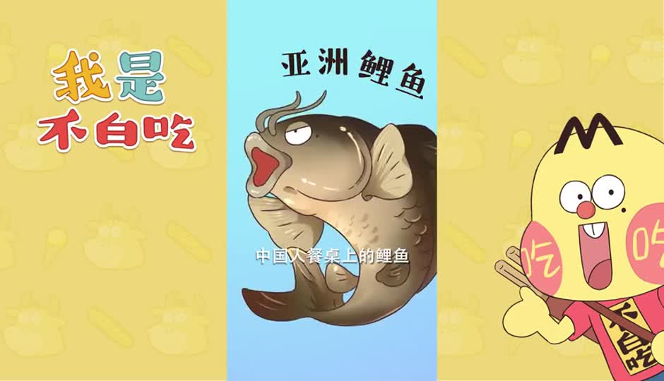 亚洲鲤鱼