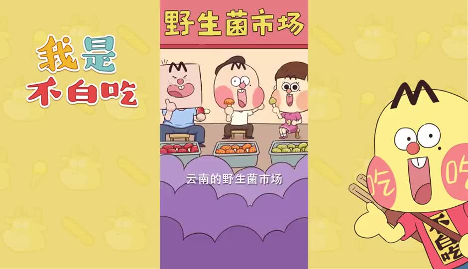 云南蘑菇