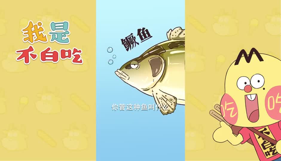 鳜鱼