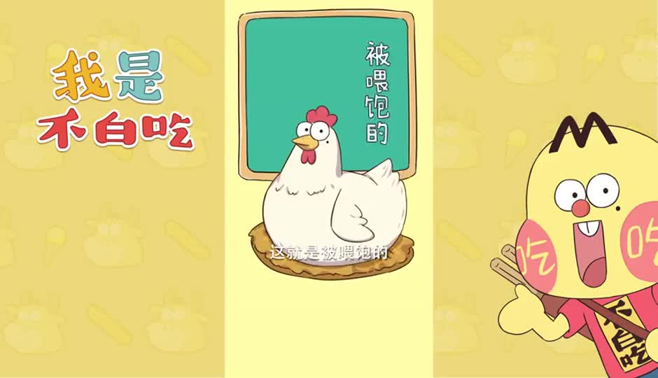 白羽鸡