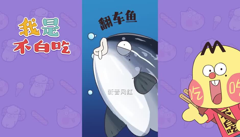 翻车鱼