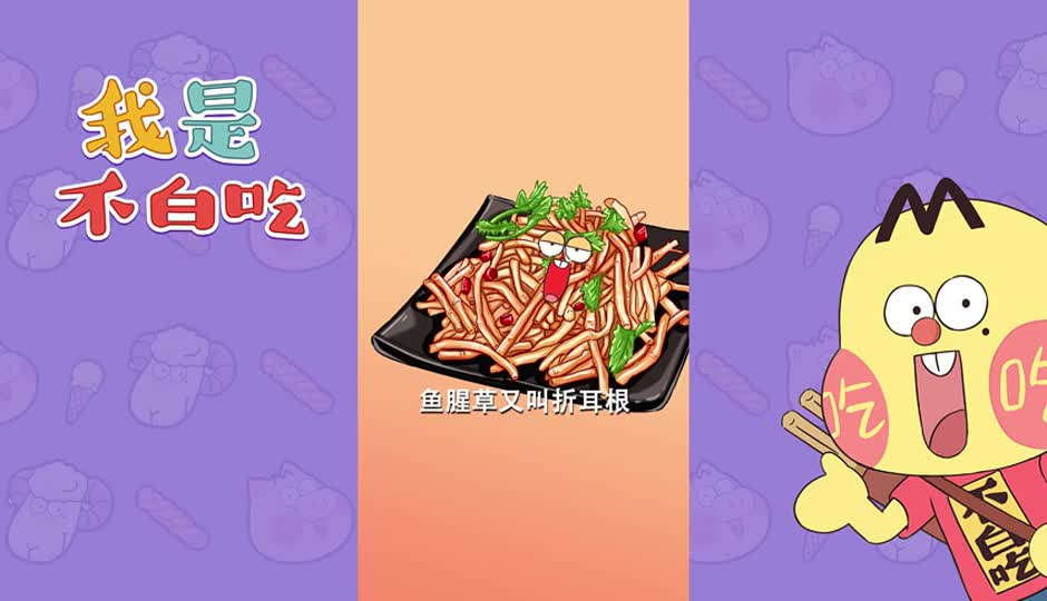 鱼腥草