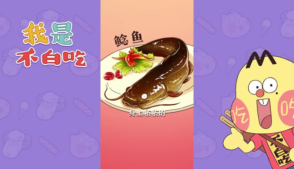 鲶鱼