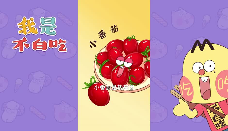 小番茄