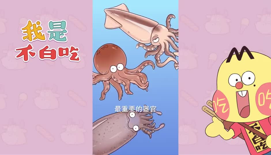 鱿鱼的PP