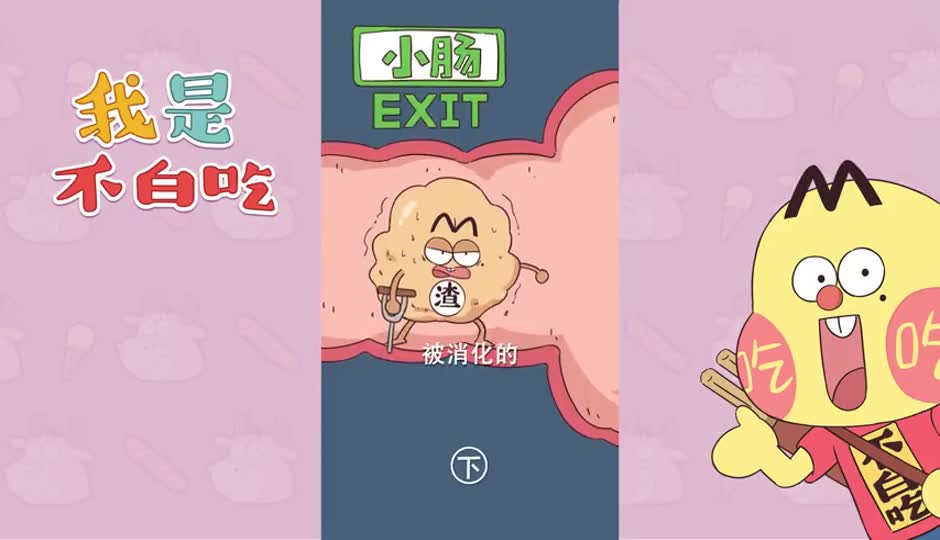 美食消化之旅(下)