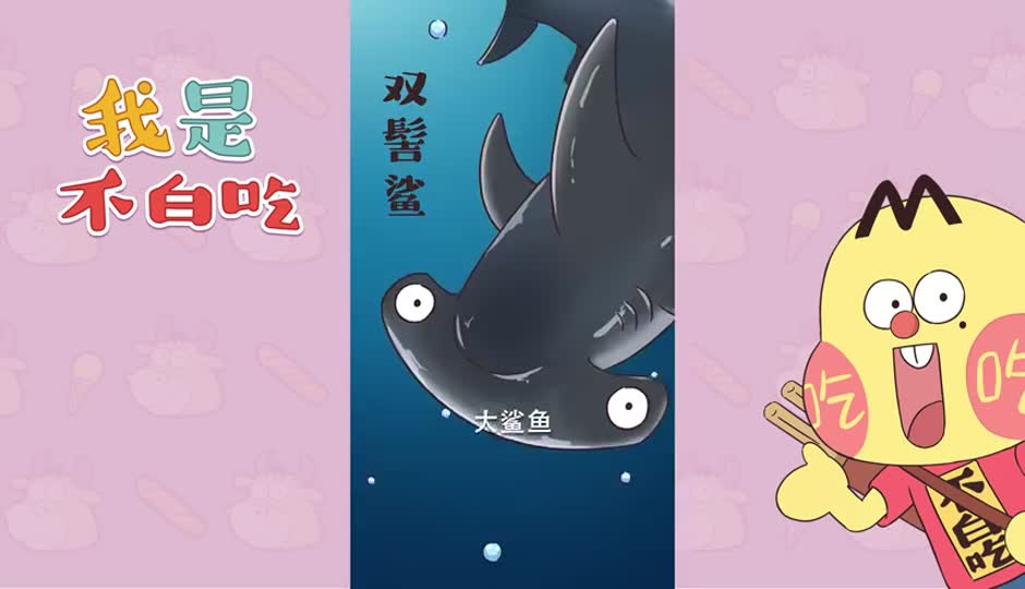 双髻鲨
