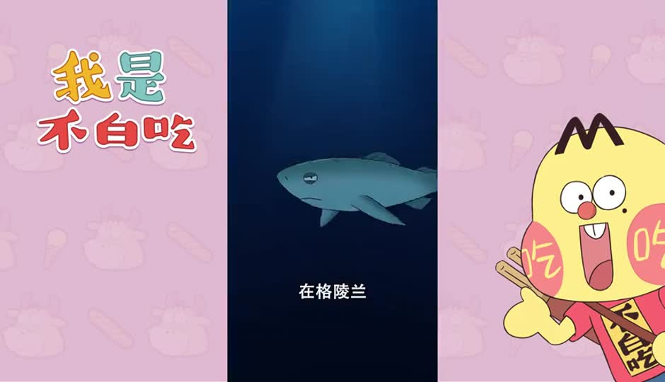 长寿动物